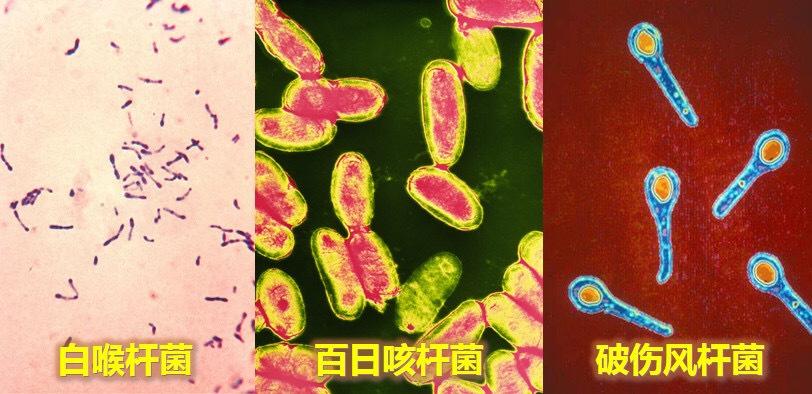 最新传染病分类及种类概述