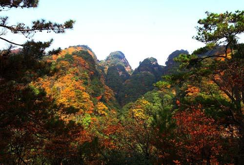 南两速南川段最新消息